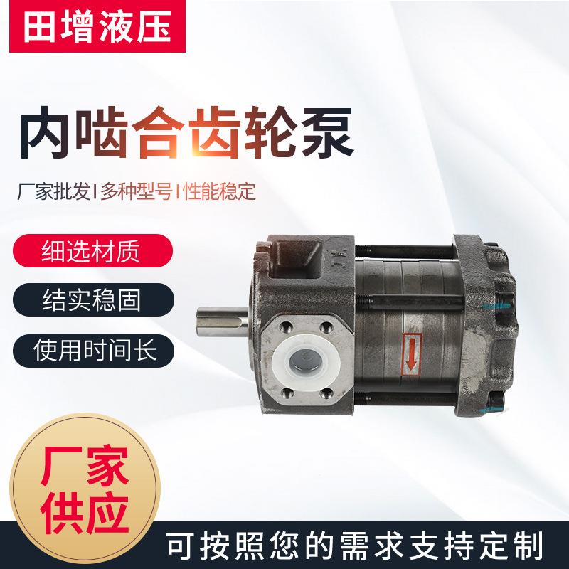 齿轮泵内啮合齿轮泵单联齿轮泵机械液压外啮合高压齿轮油泵油压泵