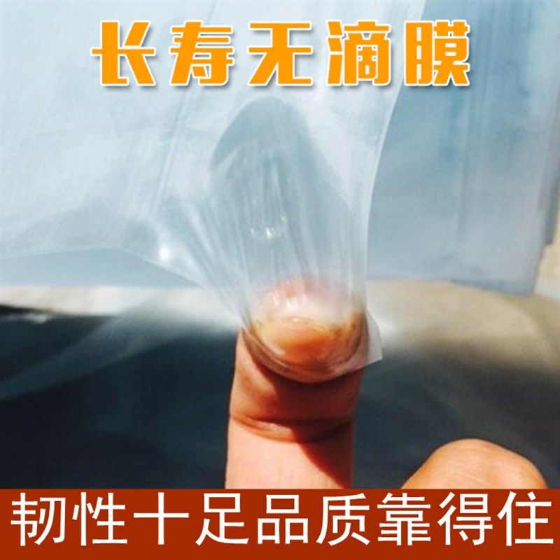 无滴菜棚膜 4s长寿膜 蓝膜 农膜 抗老化膜 蔬大大棚 整卷 塑料膜