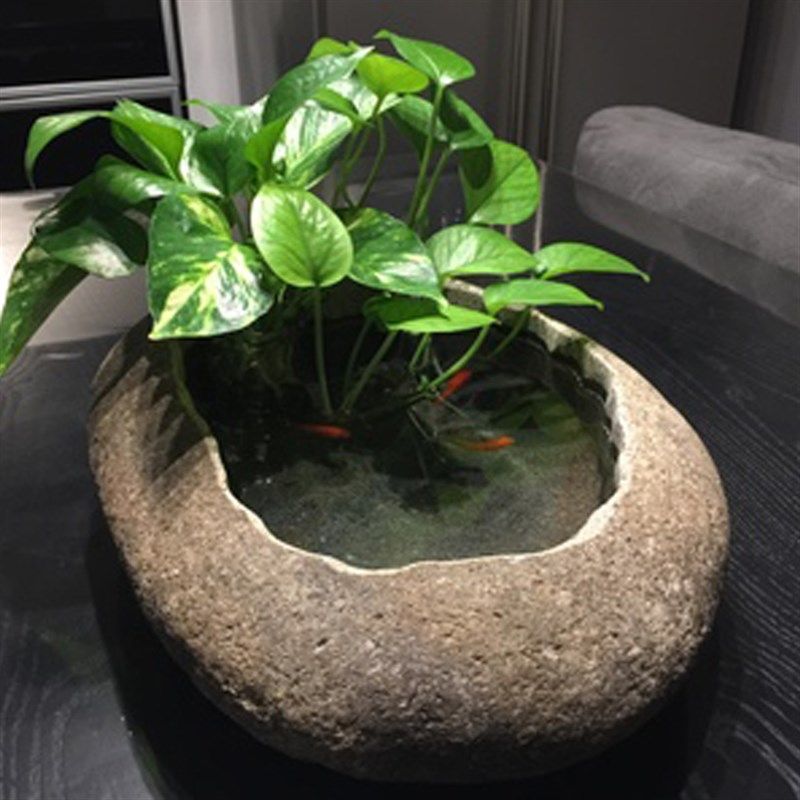 特大号天然鹅卵石花盆鱼缸铜钱草养鱼碗莲盆石头创意花器流水桌面