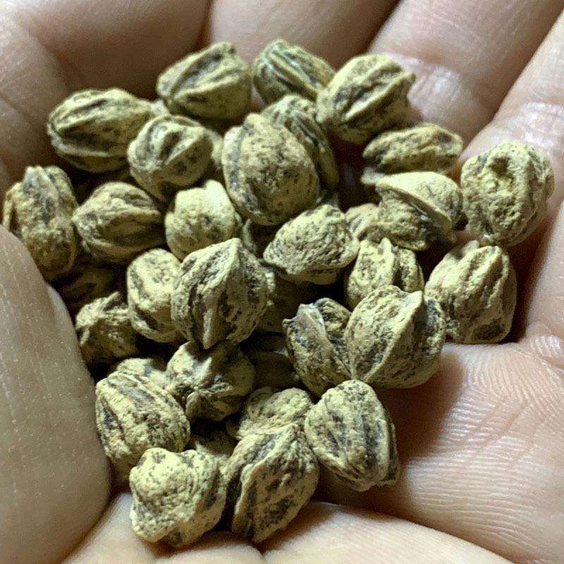 菩提文玩菩提百香子文玩热振百香子文玩百香子原子多棱鬼脸散