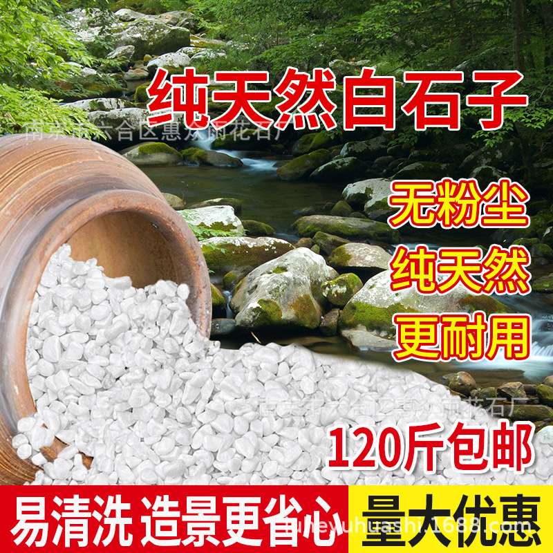 天然白色鹅卵石铺地造景园林景观庭院多肉绿植步町石白石子白沙石