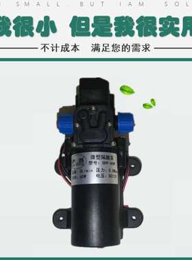 萨当微型隔膜泵 电动高压洗车水泵 12V60W直流 自吸 智能型80W24V