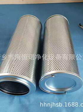电厂主泵出口滤芯AP1E101-01D03V/-WF 海恒诺净化