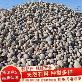 变压器鹅卵石雨花石河卵石5-8公分 河滩铺路造景人头石工程石