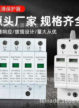 飞纳得LYD2-B60-100KA防雷电涌保护器 4P电源一级二级防避雷器2P