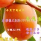单果重1.6斤脆甜 无籽嫁接大果柿子树苗 清峰甜脆柿树苗 摘下就吃