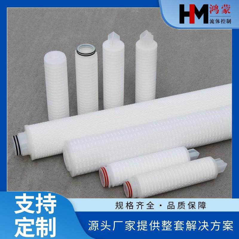 双氧水产品过滤器滤芯/W-CLPF0100TF20P/微孔折叠膜滤芯