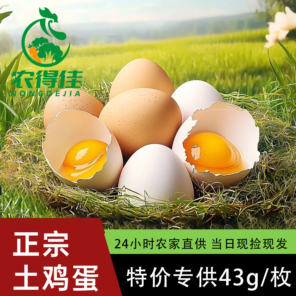 【店促特惠】农得佳20枚整箱批发土鸡蛋草鸡蛋散养虫草笨鸡蛋柴鸡