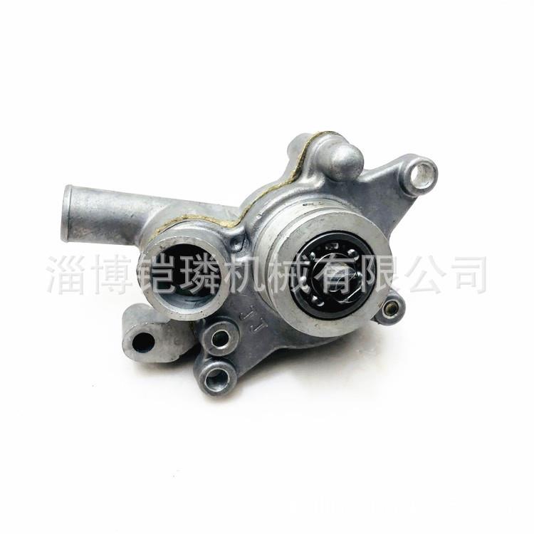 Linhai 260/300/400 沙滩车农夫车 ATV 水泵 22820