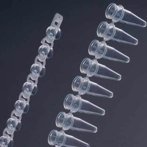 60-0008 巴罗克 0.2ML PCR八联管 无酶无热源 凸盖 透明