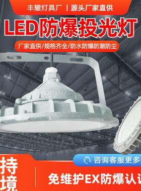 LED防爆投光灯吸顶工业仓库化工加油站防爆灯厂房车间圆形照明灯