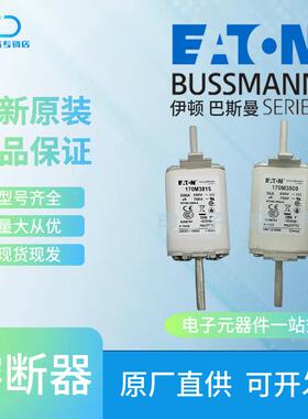170M3808 170M3809 170M3810 170M3811 巴斯曼Bussmann方体熔断器