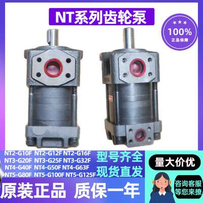 低噪音油泵NT2-G10F NT2-G12F NT2-G16F NT3-G20F G25F 32F伺服泵