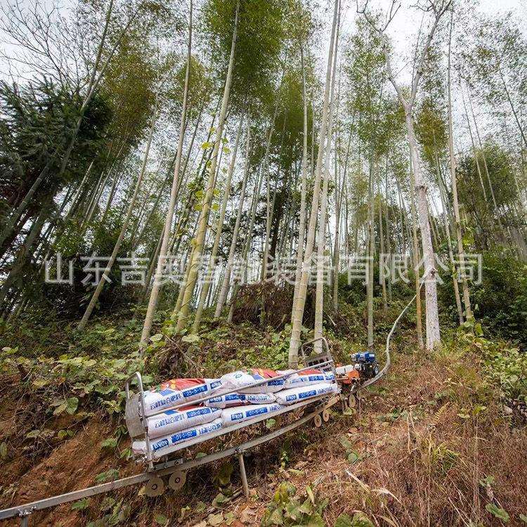 安全农用果园单轨运输车 山地爬坡轨道车齿条搬运机