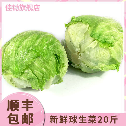 【佳锄】新鲜球生菜整箱20斤 西餐汉堡火锅用沙拉圆西生菜包邮