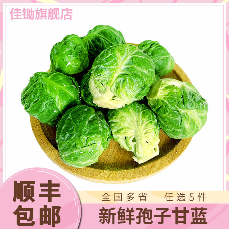 新鲜孢子甘蓝500g 新鲜沙拉其它
