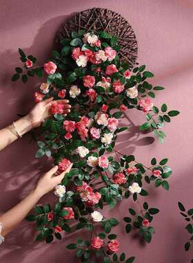 zbds蔷薇花墙壁挂花藤装饰墙面假花摆设客厅藤蔓遮挡装饰吊兰挂花