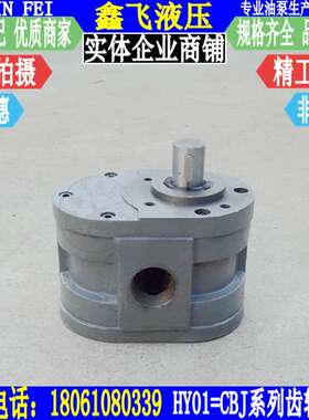 CBJ-5X10X3X8X15X12X20X25X25X35X50X70X100低压磨床齿轮泵 油泵
