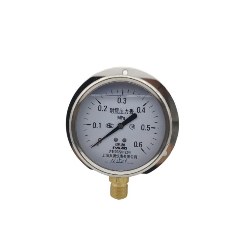 派澳仪表YN100T径向带后边 耐震压力表 抗震船用不锈钢 优质 人气