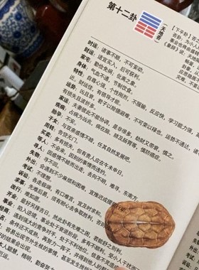 易经学习工具初学者入门六十四64卦详解摇卦起卦乌龟壳送铜钱礼品