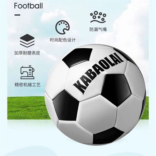 足球儿童小学生专用球儿童4号5号中考专用初中生青少年训练用球
