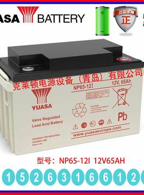 汤浅YUASA蓄电池NP65-12I 12V65AH安防设备精密仪器门禁系统