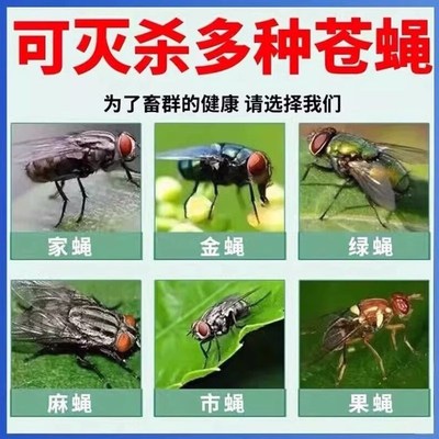 水果店灭果蝇蚊香强力灭蝇王小飞虫超市厨房生鲜专用蚊蝇驱除神器