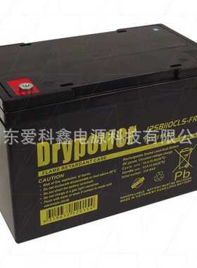 Drypower蓄电池 12SB110CLS-FR 12V110AH 直流屏机房备用电池