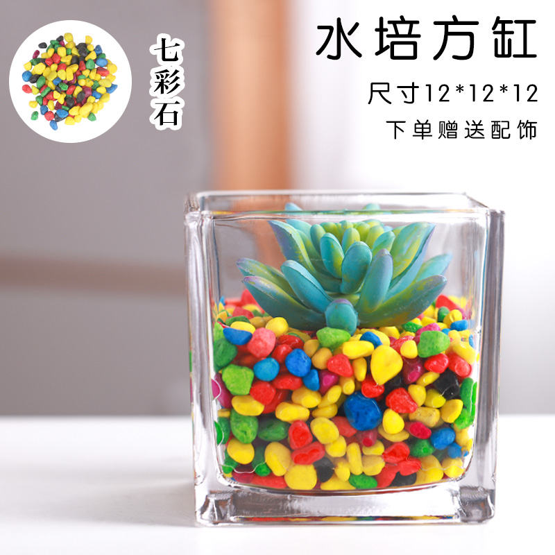 简约加厚正方形玻璃水培r桌面绿植透明方缸绿萝铜钱草花盆白色花