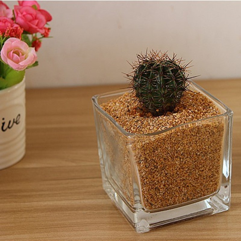 正方形水培植物肉花盆q玻璃花瓶透明彩砂方缸绿萝睡莲鱼缸包邮吊