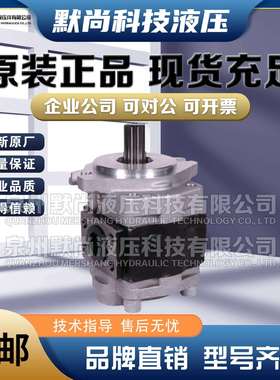 合肥赛源齿轮泵CBHZA-F23/F25/F28.2/F30/F32/F36/-F40-AFR 油泵