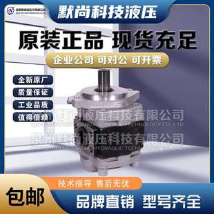 F28.2 F30 AFR F23 油泵 F40 F25 F36 合肥赛源齿轮泵CBHZA F32