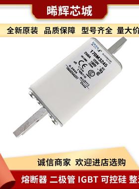 170M3245 170M3243 库存充足 低压快速熔断器 现货 电子元器件
