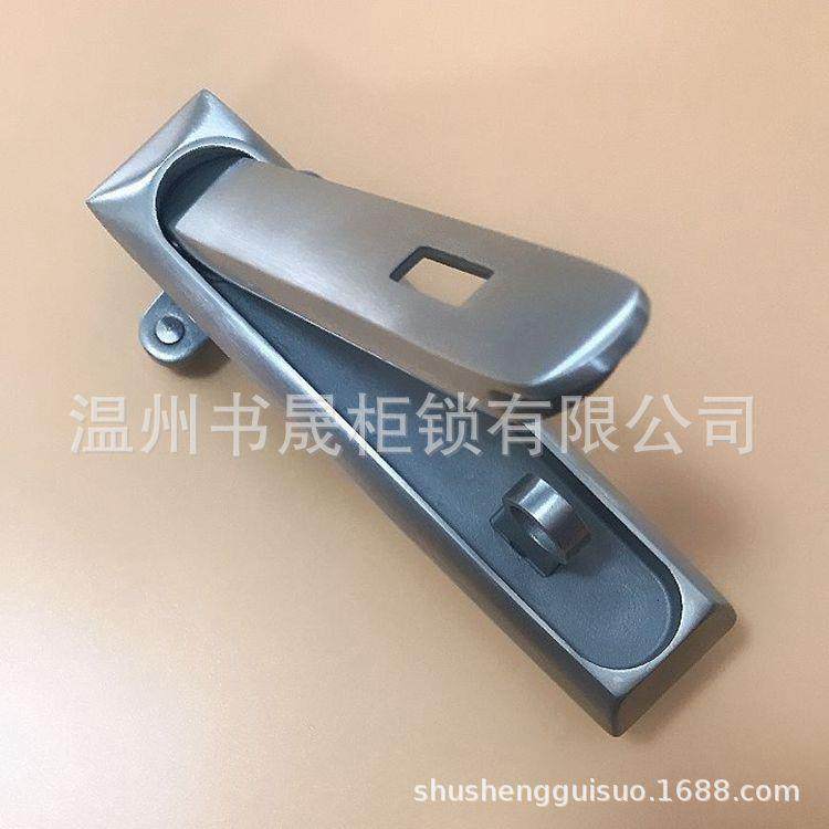 MS834-G不锈钢平面锁 304不锈钢户外机箱机柜门锁 不锈钢电柜挂锁