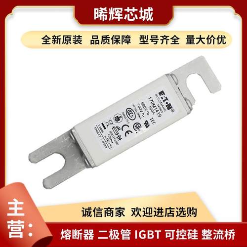 170M1796 170M1781 170M1782 型号齐全直流快速熔断器库存充足