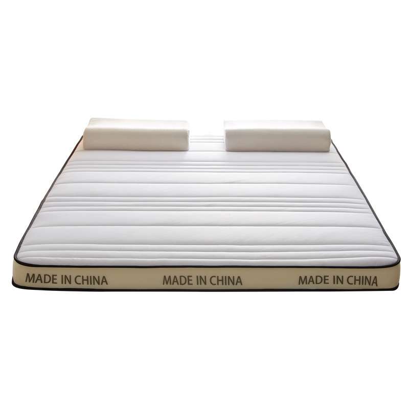 乳胶床垫软垫家用卧室双人床榻榻米垫子租房专用海绵地铺睡垫