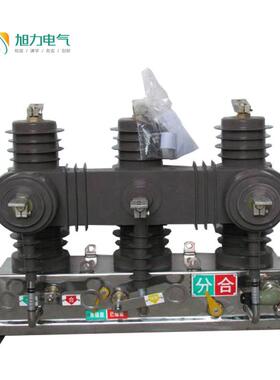 ZW38真空断路器ZW43-12/T630-20户外高压真空断路器手动10KV厂家