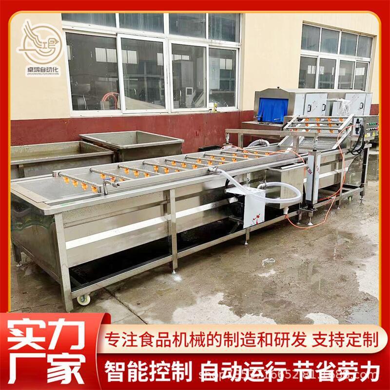 厂家直销连续式小黄姜清洗风干线大型杏鲍菇清洗机商用黄精清洗机