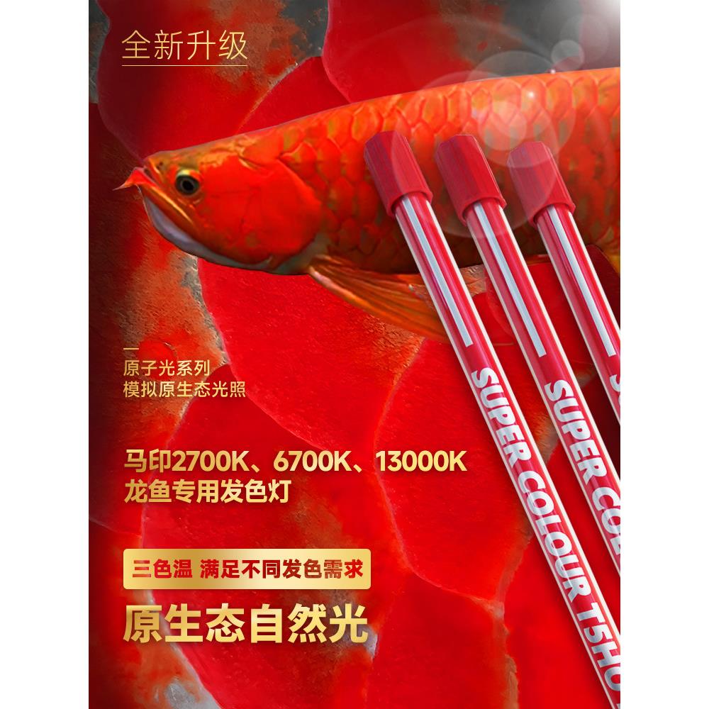 马印神灯龙鱼专用发色灯6700K红龙金龙鱼烤色侧灯诱色鱼缸防水灯