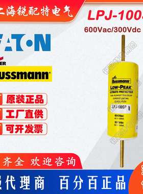 LPJ-100SP 延时保险丝  600V100A 巴斯曼BUSSMANN熔断器 LPJ-80SP