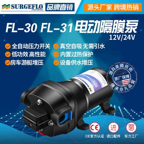 FL-30 12V24v直流电动房车游艇生活增压供水自吸清水泵户外抽水泵
