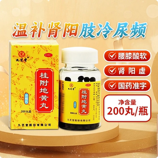 九芝堂桂附地黄丸正品补肾养精强身肾阳虚肾虚男补品尿频男性调理
