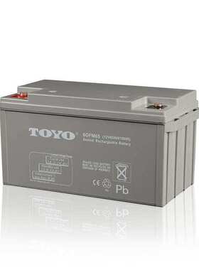 TOYO蓄电池6FM17 12V17AH直流屏 UPS 机房供电 太阳能白色非进口