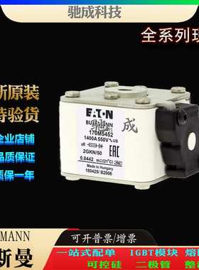 巴斯曼170M5452 170M5458 170M5459 现货供应优价供应 特种保险丝