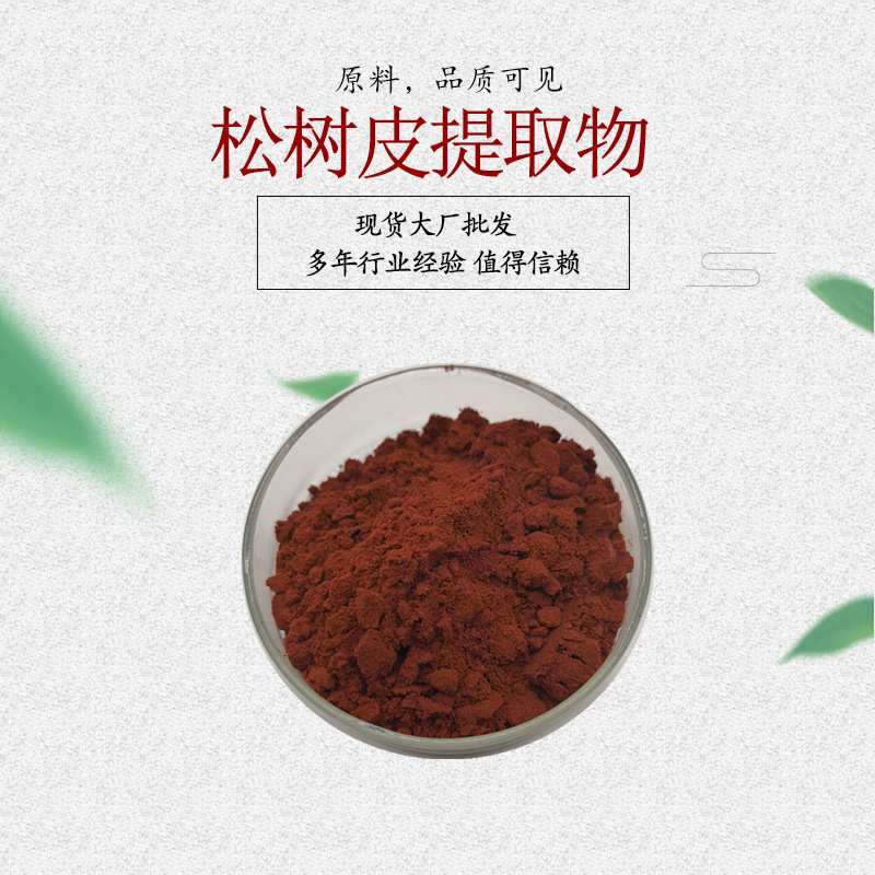 松树皮提取物 松树皮粉