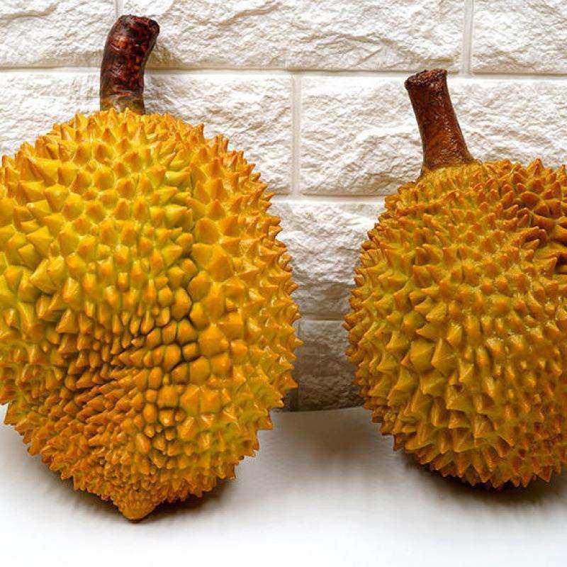 仿真榴莲假水果模型 客厅橱柜桌面摆设装饰 摄影道,鲜花速递/花卉仿真/绿植园艺,割草机/草坪机,淘宝优惠券,粉丝福利购,淘宝优惠卷