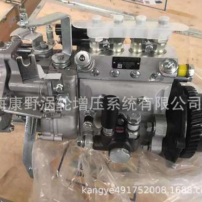 适用锡柴威孚喷油泵4AW524A（可替代4AW517） 1111100-A02-ZY1A