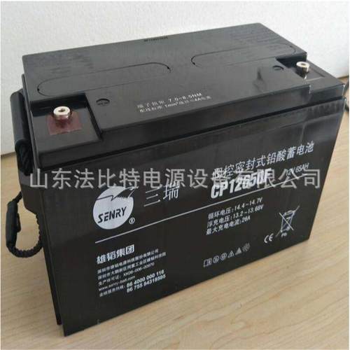 VISION蓄电池6FM100-X 三瑞蓄电池12V100AH 免维护储能蓄电池