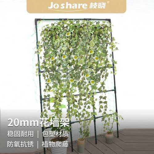 枝晓花墙架网格爬藤架铁线莲风车茉莉丝花架黄瓜月季靠墙支架跨境