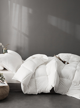 白色春秋被子 羽丝棉被芯蓬松单w人被褥 1.5m绗缝固定冬被双人2m